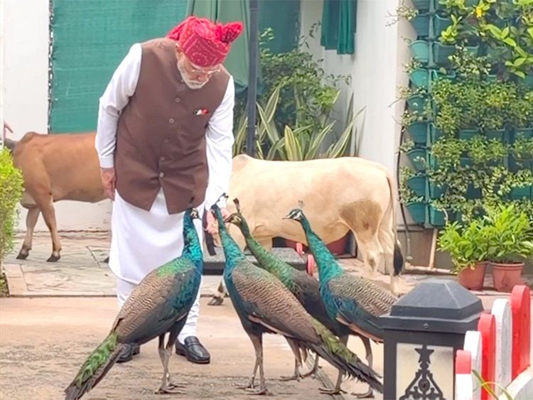 Modi.jpg